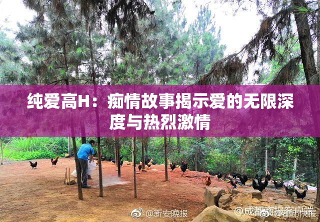 纯爱高H：痴情故事揭示爱的无限深度与热烈激情