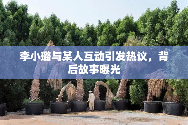 李小璐与某人互动引发热议，背后故事曝光