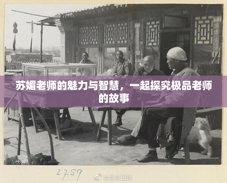 苏媚老师的魅力与智慧，一起探究极品老师的故事