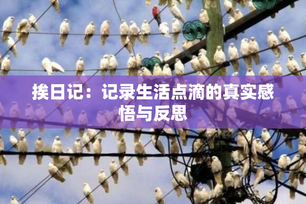 挨日记：记录生活点滴的真实感悟与反思