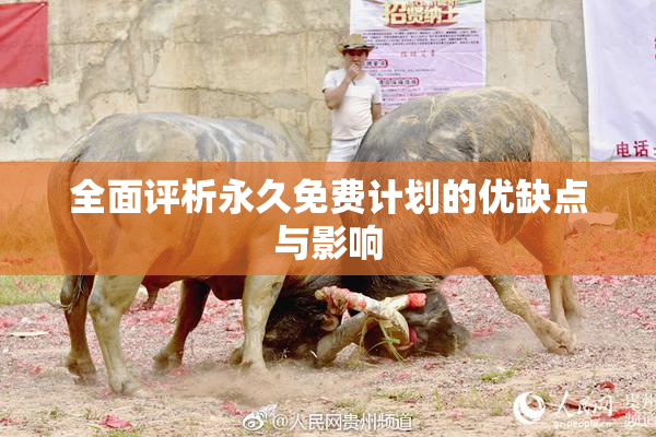 全面评析永久免费计划的优缺点与影响