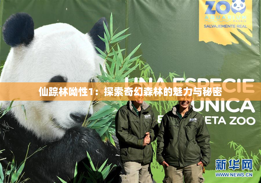仙踪林呦性1：探索奇幻森林的魅力与秘密