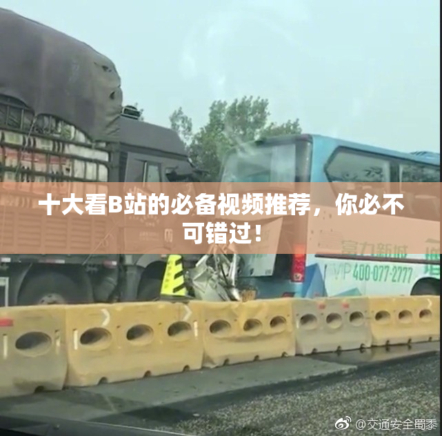 十大看B站的必备视频推荐，你必不可错过！