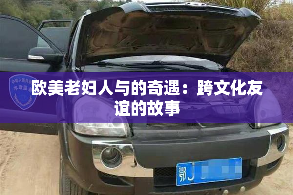 欧美老妇人与的奇遇：跨文化友谊的故事