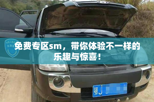 免费专区sm，带你体验不一样的乐趣与惊喜！