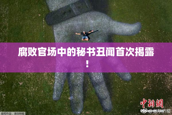 腐败官场中的秘书丑闻首次揭露！