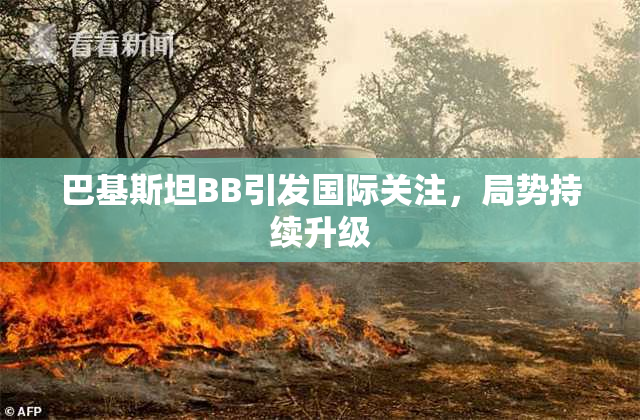 巴基斯坦BB引发国际关注，局势持续升级