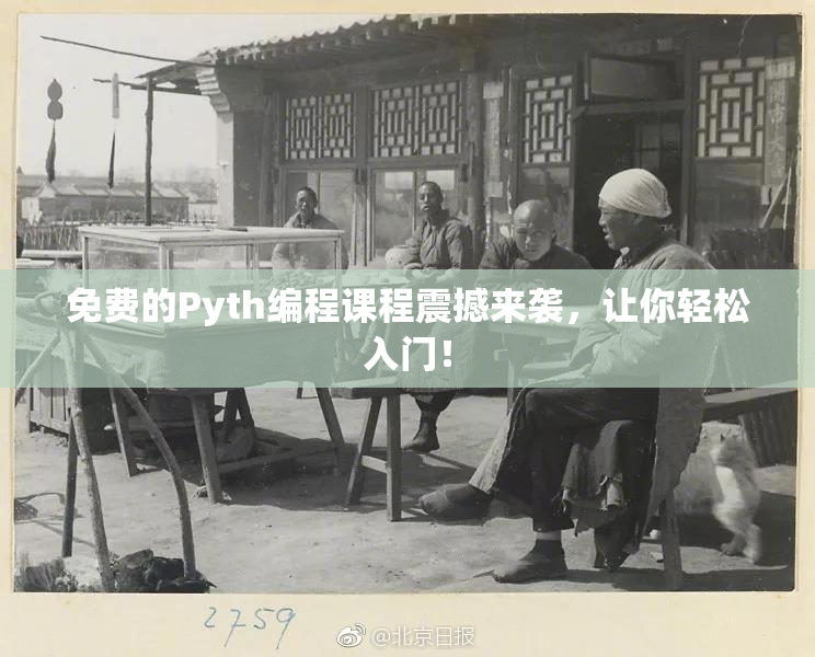 免费的Pyth编程课程震撼来袭，让你轻松入门！