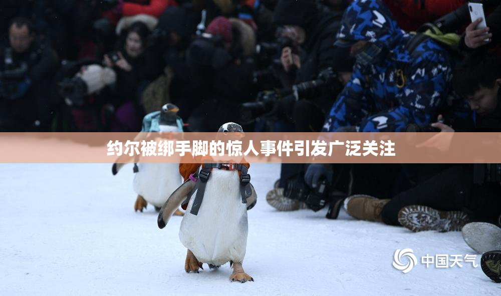 约尔被绑手脚的惊人事件引发广泛关注