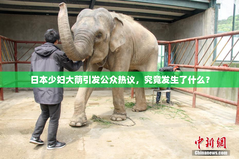 日本少妇大荫引发公众热议，究竟发生了什么？