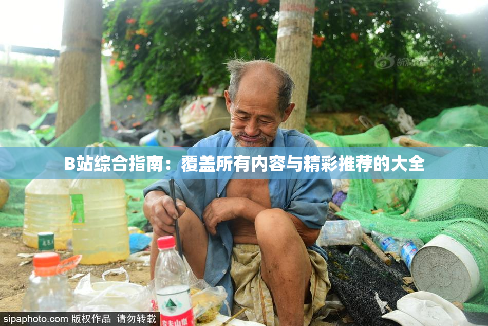 B站综合指南：覆盖所有内容与精彩推荐的大全
