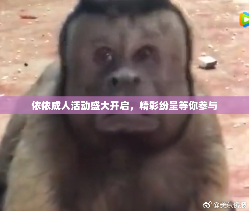 依依成人活动盛大开启，精彩纷呈等你参与