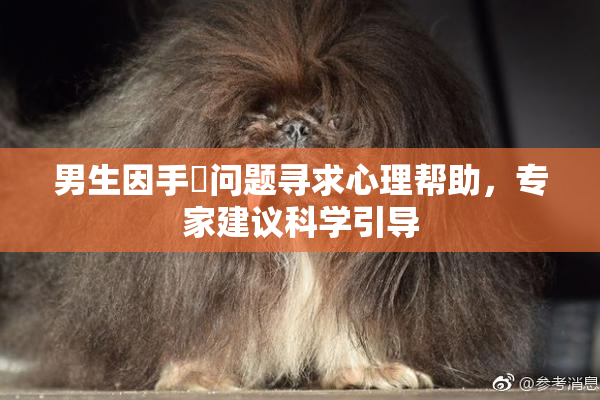 男生因手婬问题寻求心理帮助，专家建议科学引导