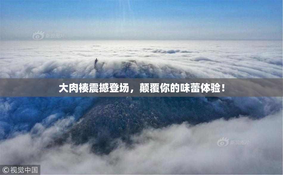 大肉楱震撼登场，颠覆你的味蕾体验！