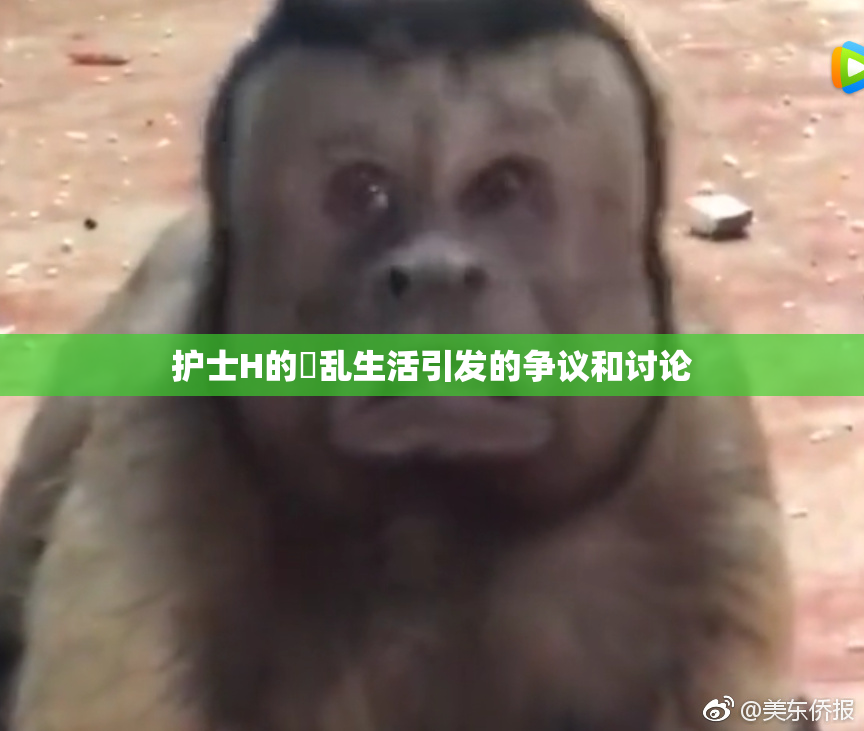 护士H的婬乱生活引发的争议和讨论