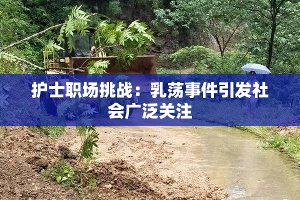护士职场挑战：乳荡事件引发社会广泛关注