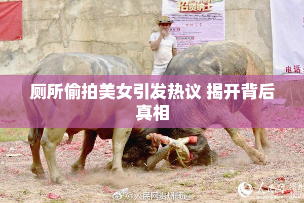 厕所偷拍美女引发热议 揭开背后真相