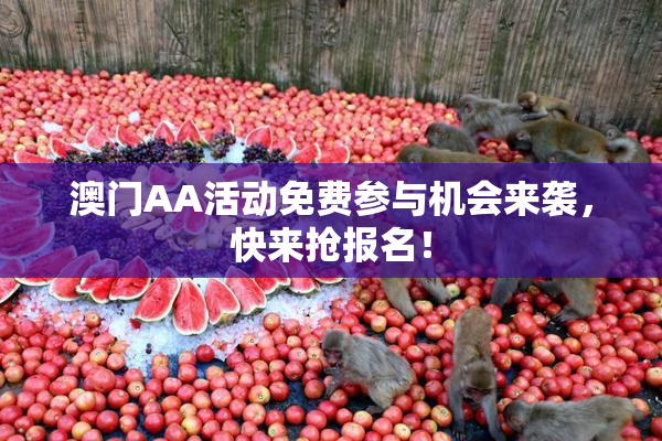 澳门AA活动免费参与机会来袭，快来抢报名！