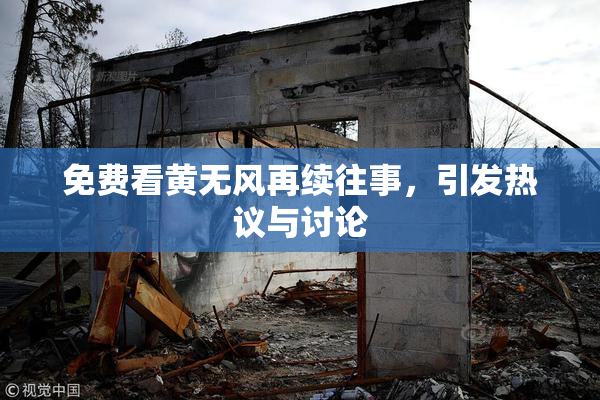 免费看黄无风再续往事，引发热议与讨论