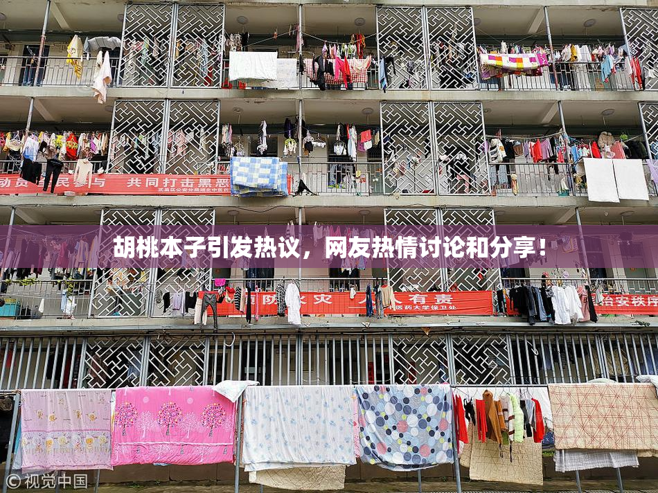 胡桃本子引发热议，网友热情讨论和分享！