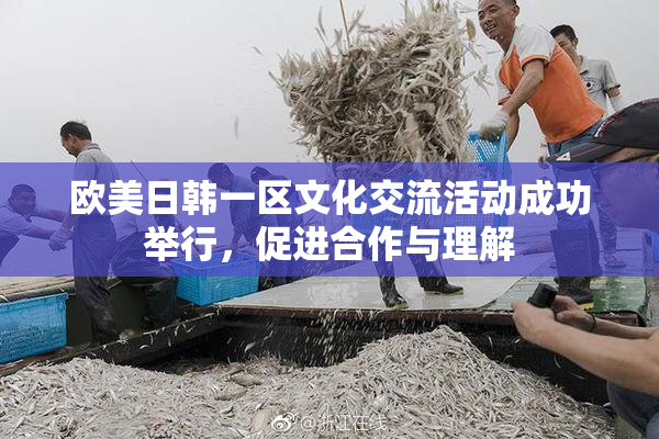 欧美日韩一区文化交流活动成功举行，促进合作与理解