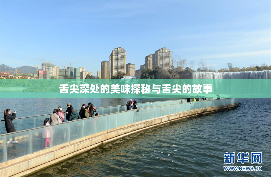 舌尖深处的美味探秘与舌尖的故事