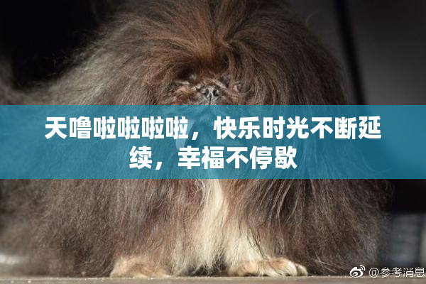 天噜啦啦啦啦，快乐时光不断延续，幸福不停歇