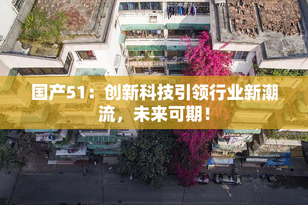 国产51：创新科技引领行业新潮流，未来可期！