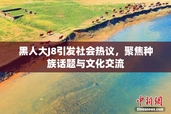 黑人大J8引发社会热议，聚焦种族话题与文化交流