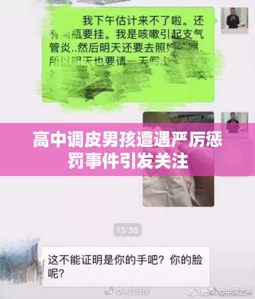 高中调皮男孩遭遇严厉惩罚事件引发关注