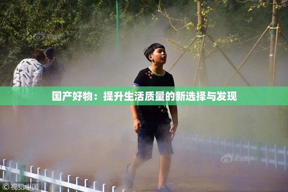 国产好物：提升生活质量的新选择与发现
