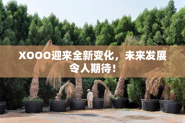 XOOO迎来全新变化，未来发展令人期待！