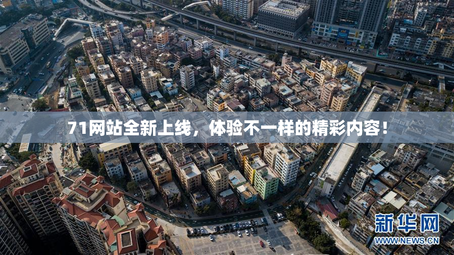 71网站全新上线，体验不一样的精彩内容！