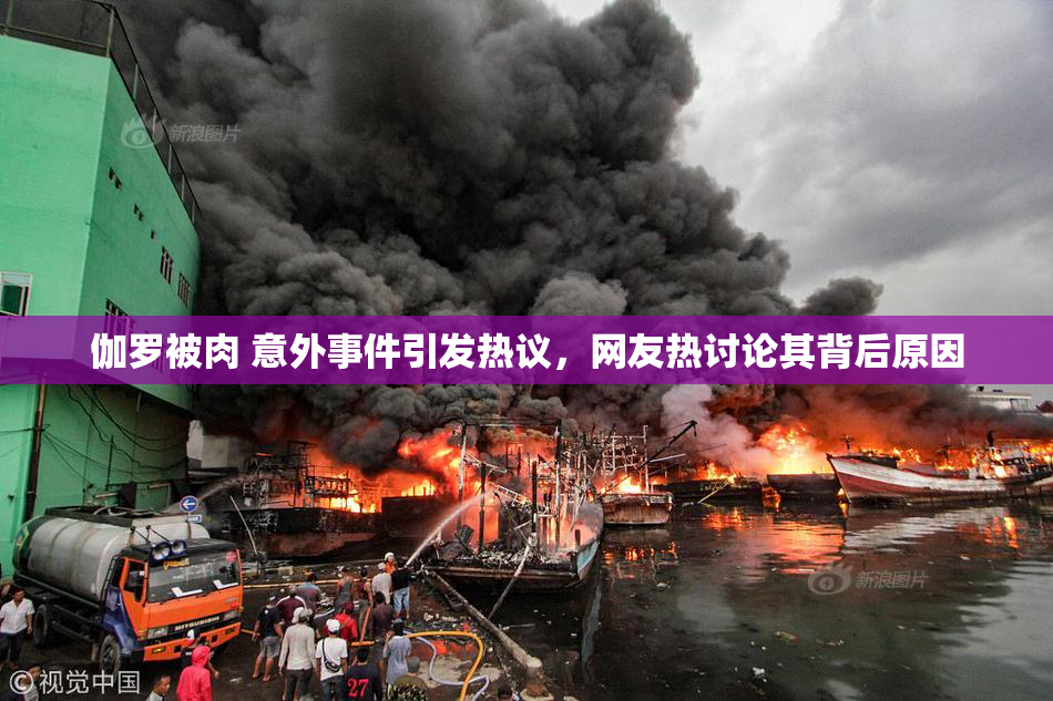 伽罗被肉 意外事件引发热议，网友热讨论其背后原因