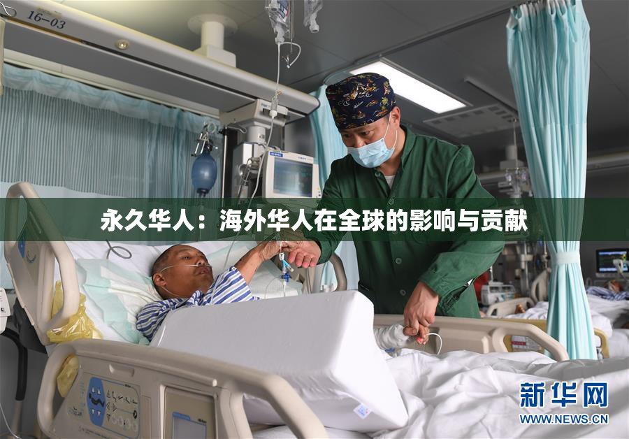 永久华人：海外华人在全球的影响与贡献