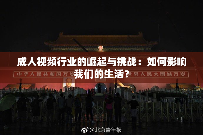 成人视频行业的崛起与挑战：如何影响我们的生活？
