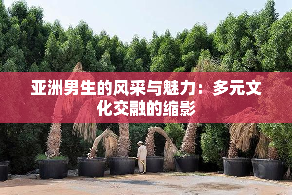 亚洲男生的风采与魅力：多元文化交融的缩影
