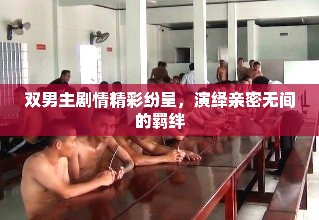 双男主剧情精彩纷呈，演绎亲密无间的羁绊