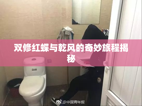双修红蝶与乾风的奇妙旅程揭秘