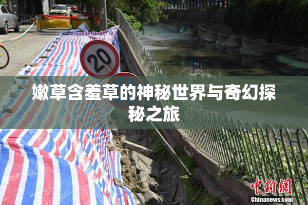嫩草含羞草的神秘世界与奇幻探秘之旅