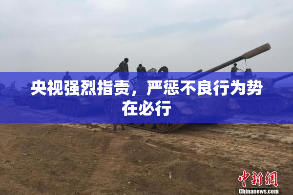 央视强烈指责，严惩不良行为势在必行