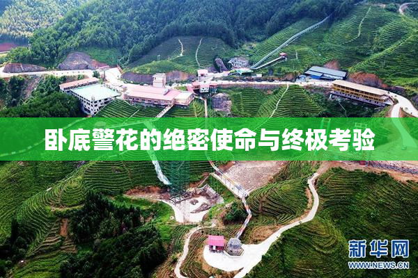 卧底警花的绝密使命与终极考验