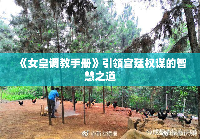 《女皇调教手册》引领宫廷权谋的智慧之道