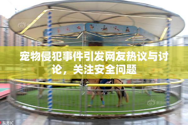 宠物侵犯事件引发网友热议与讨论，关注安全问题
