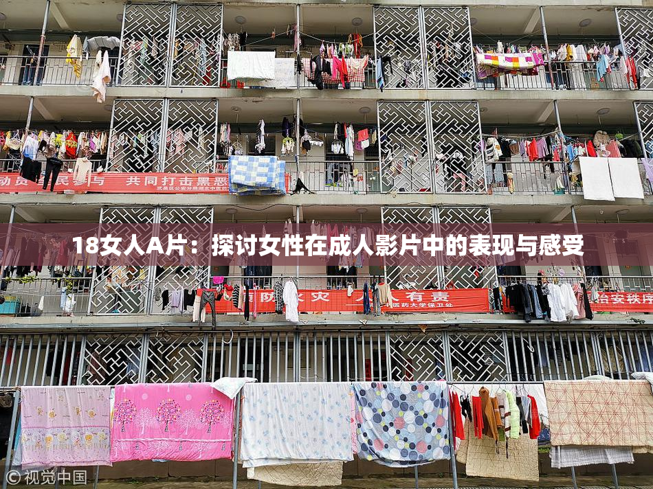 18女人A片：探讨女性在成人影片中的表现与感受