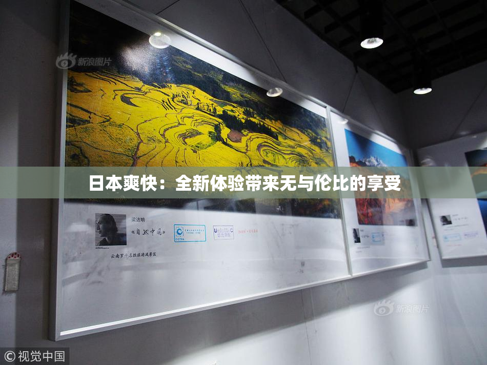 日本爽快：全新体验带来无与伦比的享受