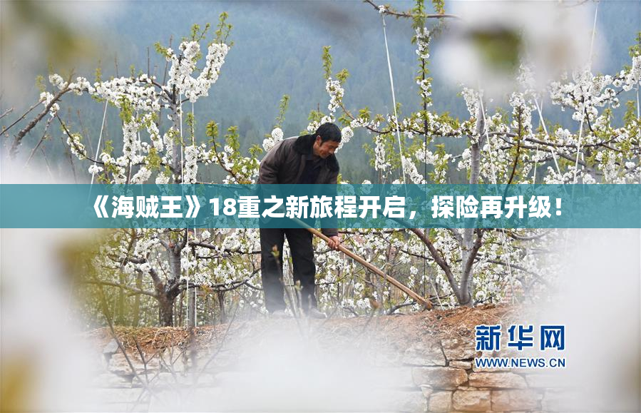 《海贼王》18重之新旅程开启，探险再升级！