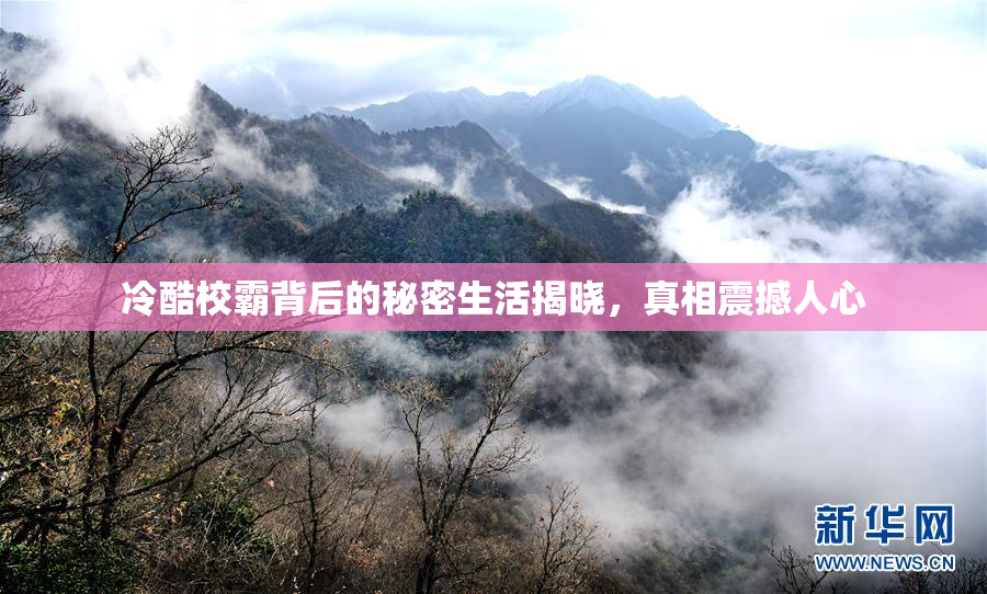 冷酷校霸背后的秘密生活揭晓，真相震撼人心