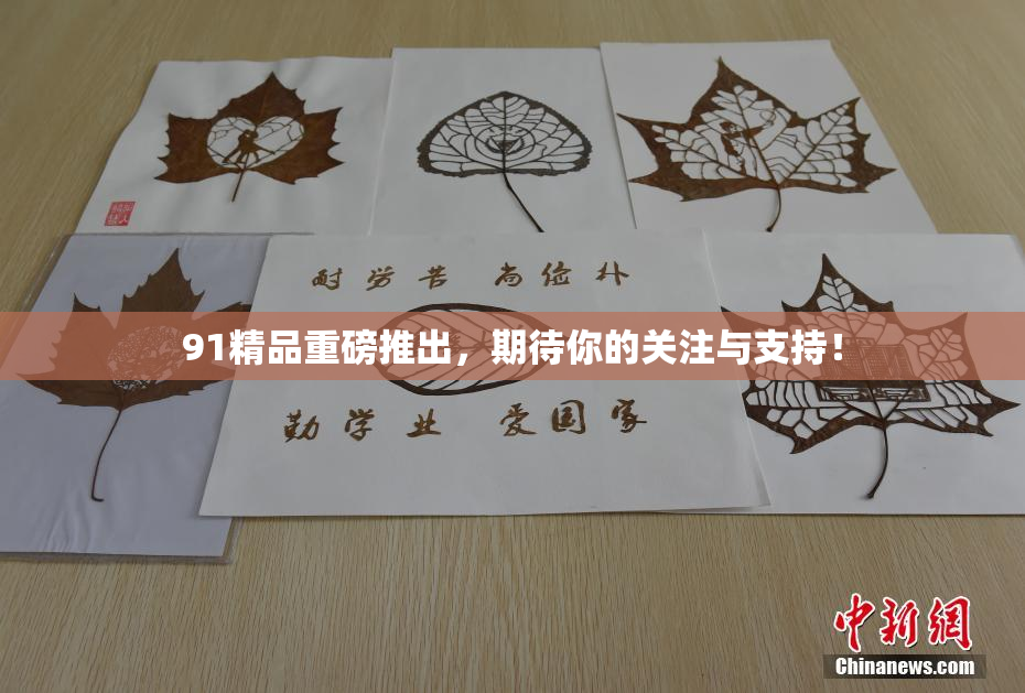 91精品重磅推出，期待你的关注与支持！