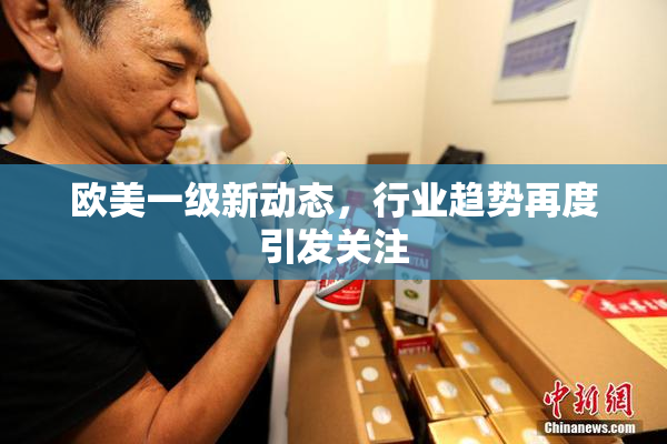 欧美一级新动态，行业趋势再度引发关注